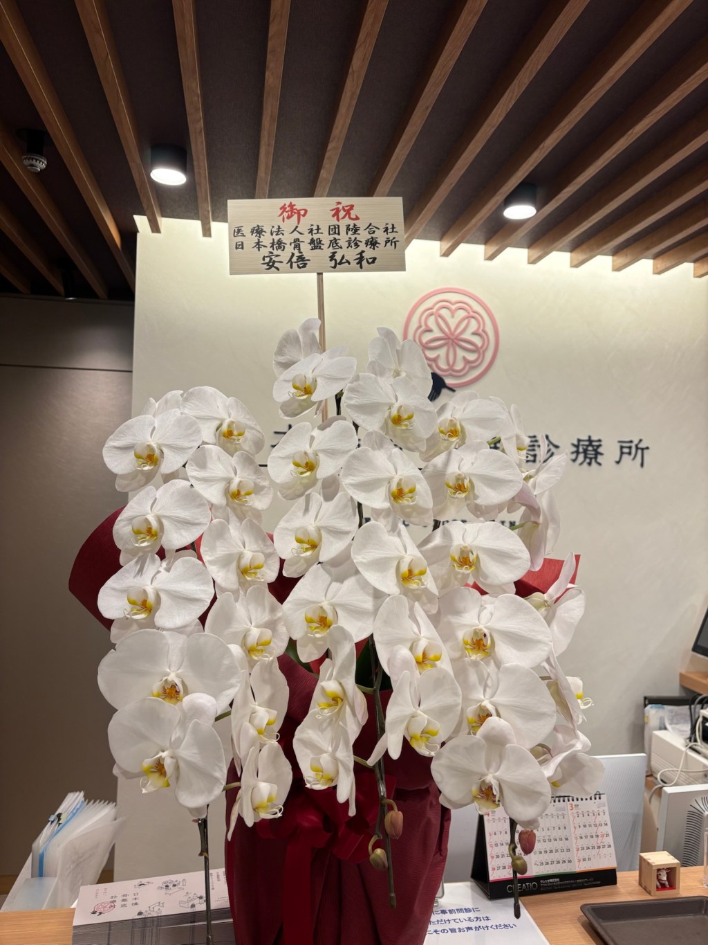 腟HIFUで尿失禁が治らない理由|効かない原因と正しい治療選択を専門医が解説