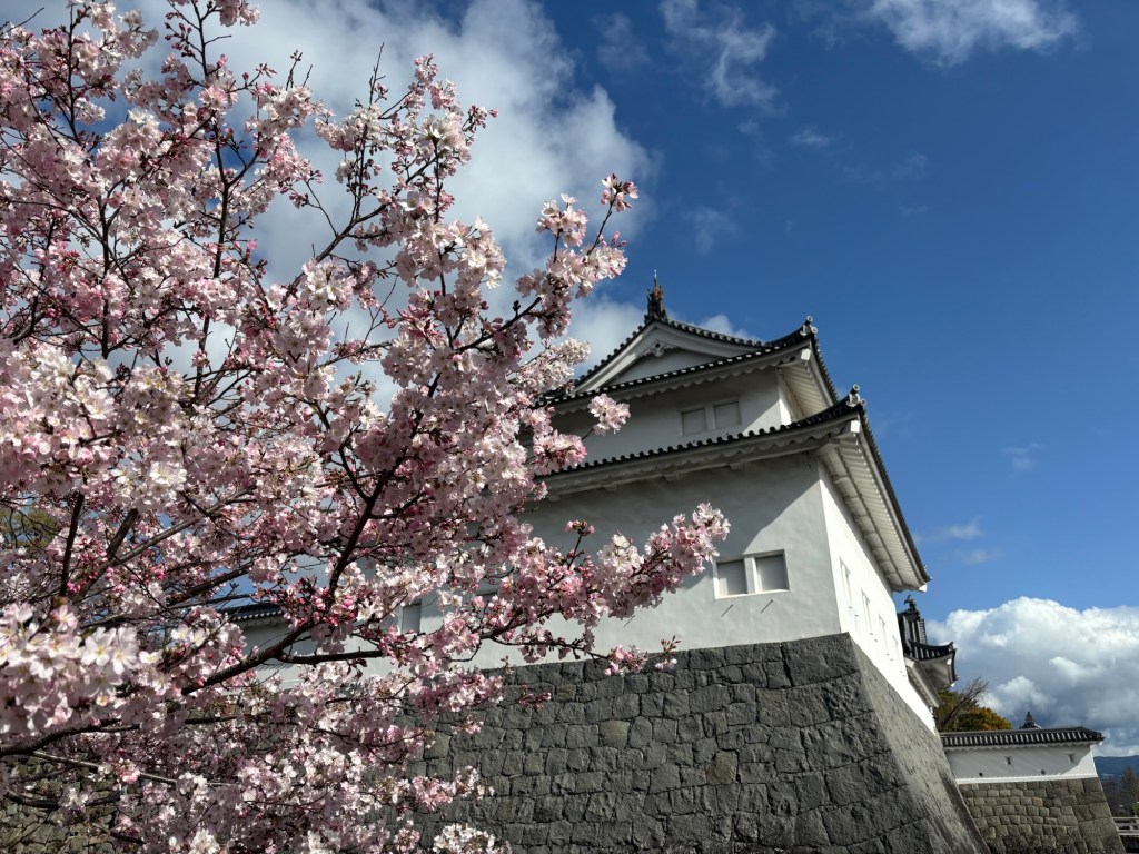 【第2回】GSMの診断〜「膀胱炎が治らない」の本当の理由〜