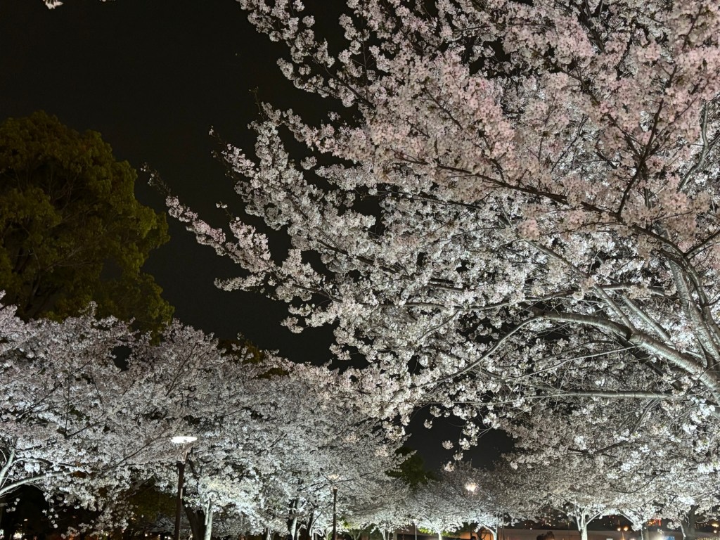 【第3回】GSMの治療〜AUAガイドラインが示した治療の考え方〜