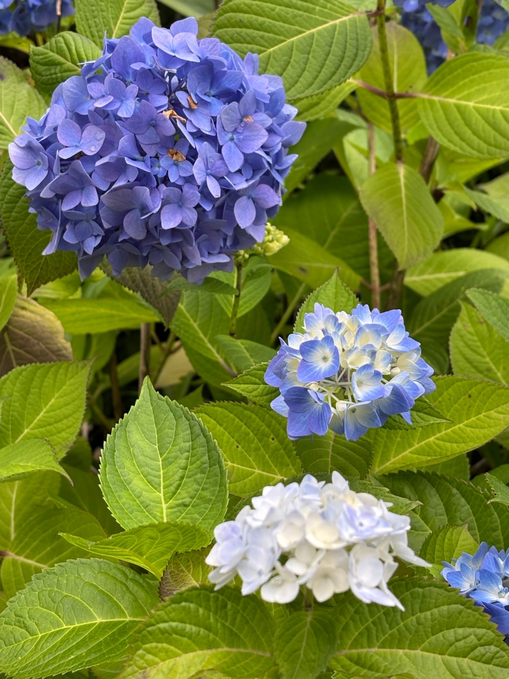 無題の投稿 1880