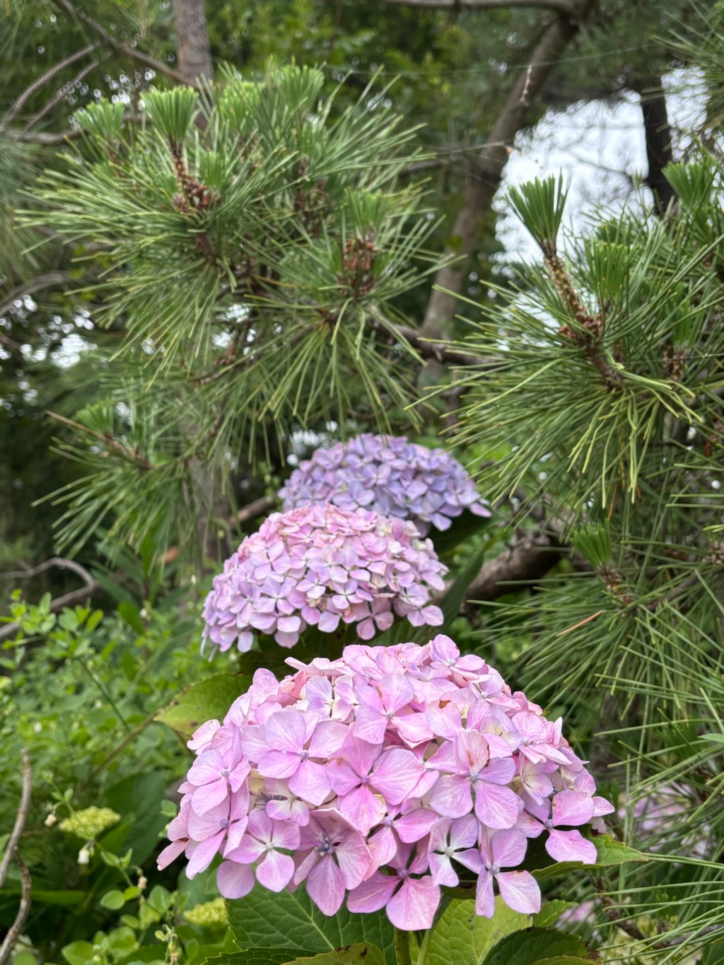 オムツで排尿できますか?
