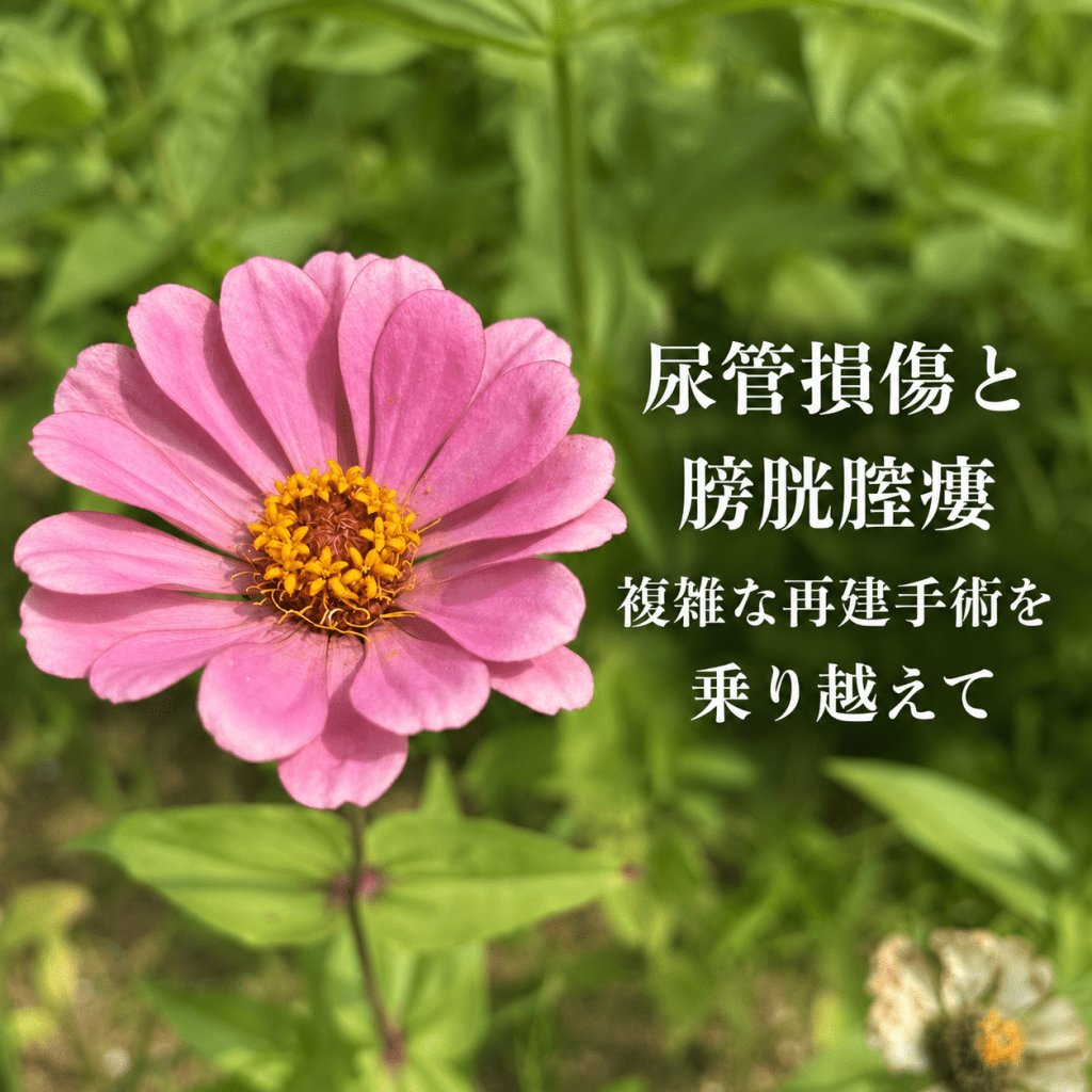 尿管損傷と膀胱腟瘻――複雑な再建手術を乗り越えて