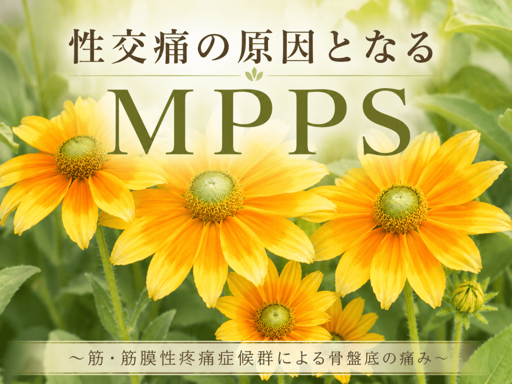 「性交痛の原因となる MPPS」