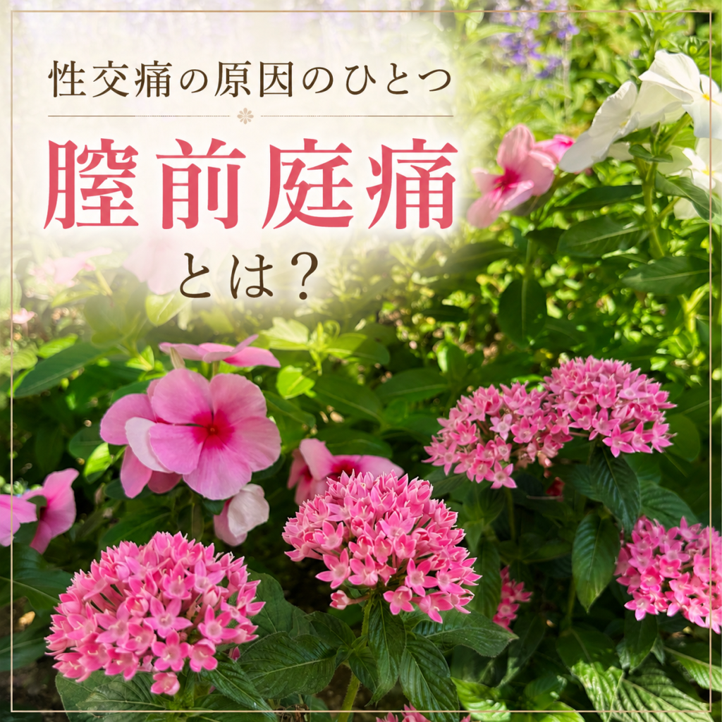 第1回「性交痛の原因『腟前庭痛』とは？まずは粘膜か筋肉かを知ることから」
