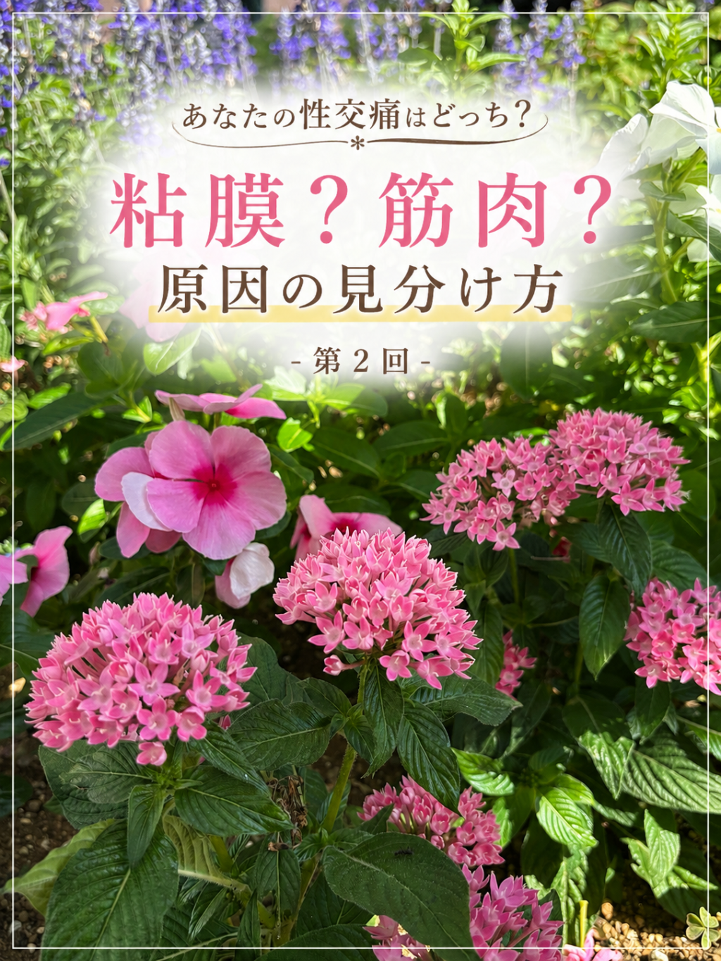 第2回「あなたの性交痛は粘膜?筋肉?自宅でできるセルフチェック」