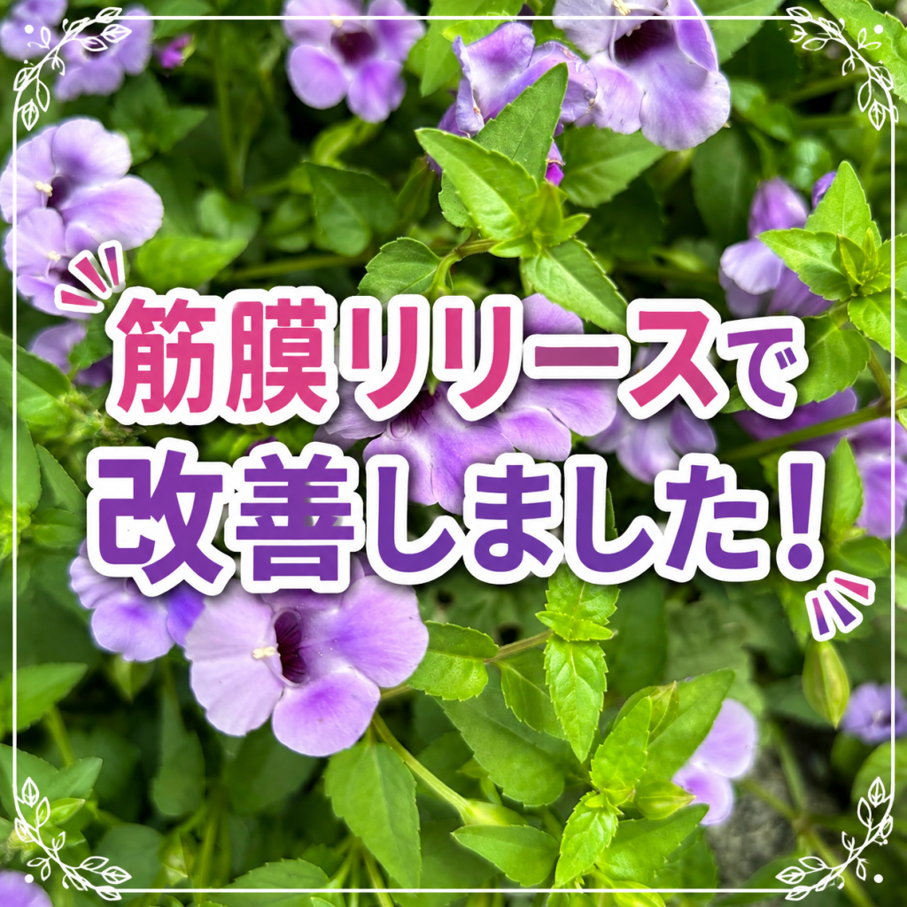 筋膜リリースで改善?!骨盤底の診療現場