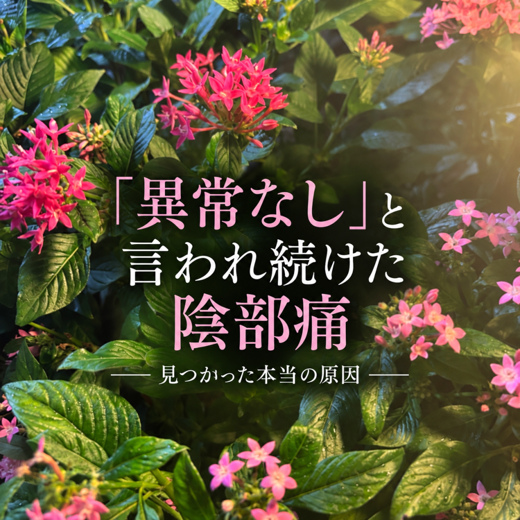 「異常なし」と言われ続けた陰部痛